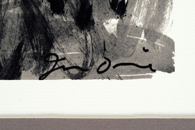 Jim Dine – Botanical, Offset Lithograph 1979
