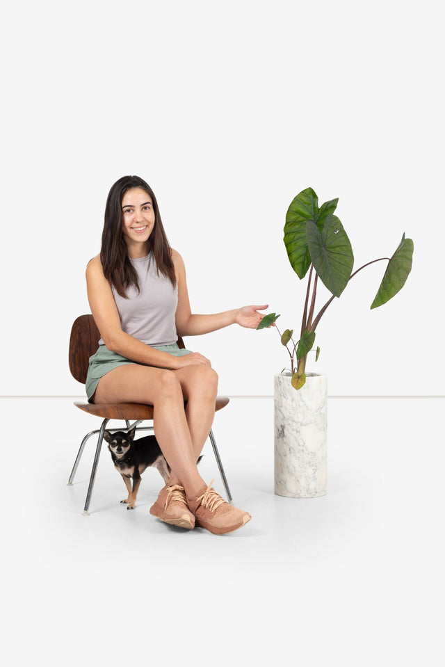 Hugh Acton Megaforms Architectural Planter from Acton Residense in Carrara Marble, Italy
