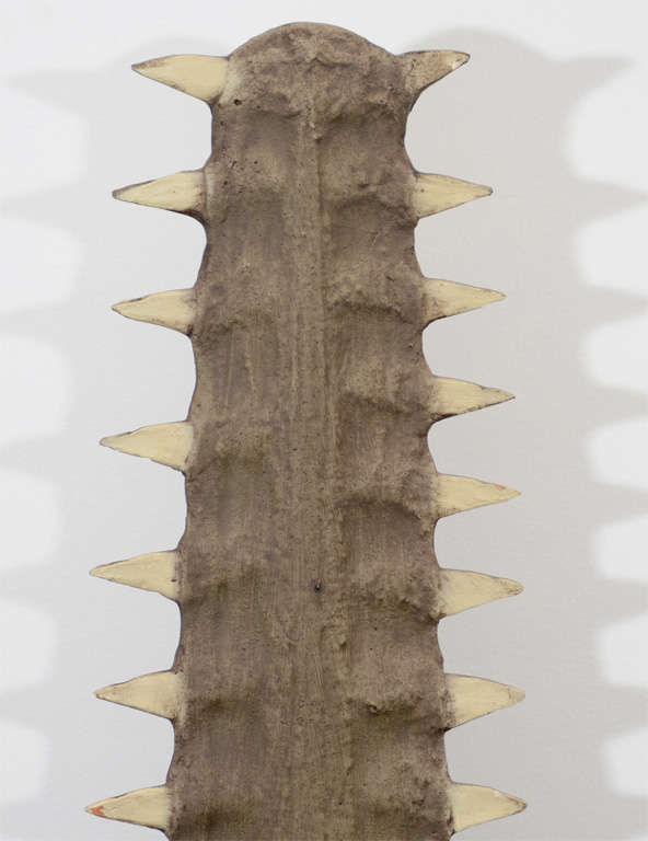 Sawtooth Mounted on Lucite