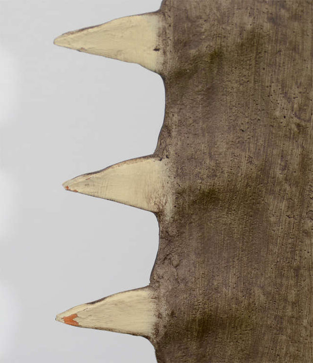 Sawtooth Mounted on Lucite