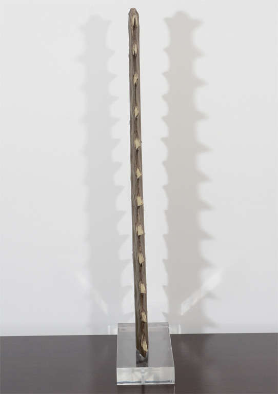 Sawtooth Mounted on Lucite