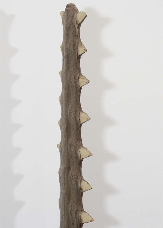 Sawtooth Mounted on Lucite