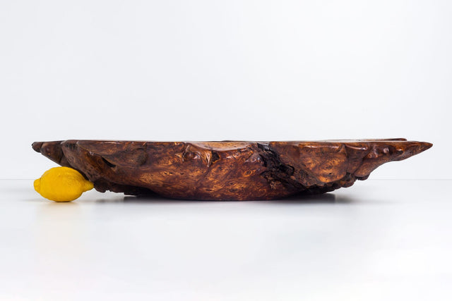 Solid Burled Elm Root Bowl by Tripp Espenet