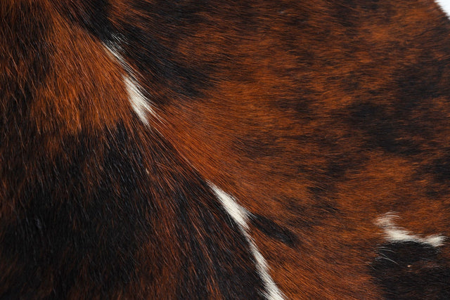 Guido Faleschini for Mariani “Tucroma” Lounge Chair & Ottoman, Italy c. 1960